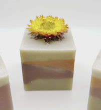 Load and play video in Gallery viewer, Superbloom ~ Vegan Hand &amp; Body Soap ~ with Dried Organic Flower
